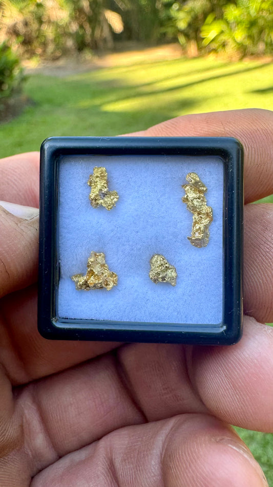 Beautiful 1.33 grams of NT Gold Nuggets