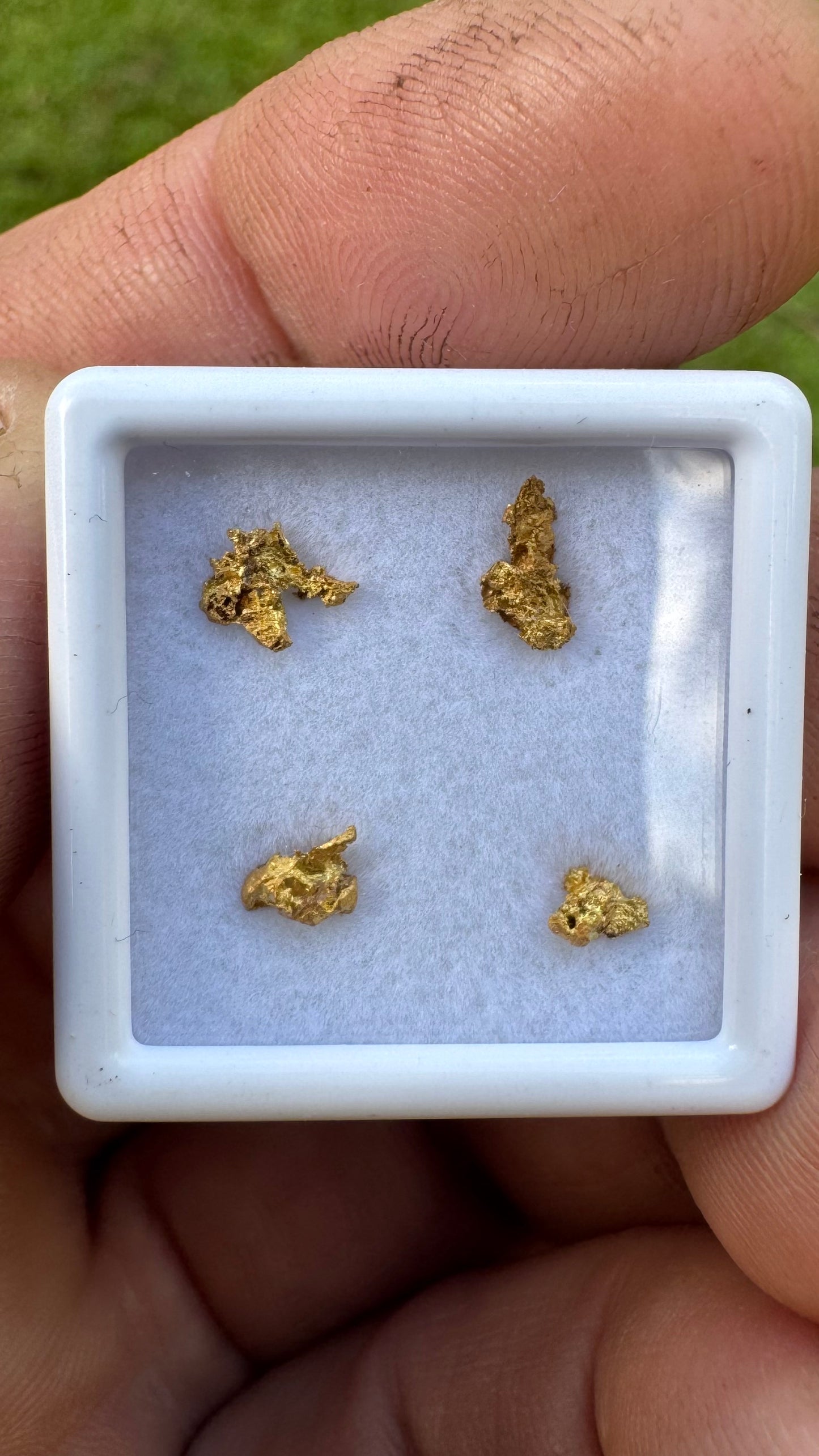 0.64 grams of NT gold nuggets