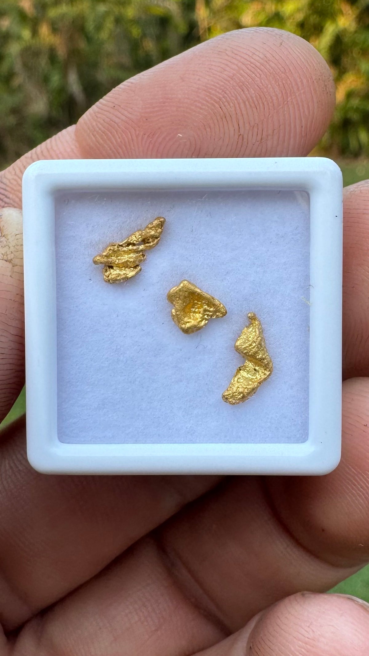 Stunning 0.92 grams Gold Nuggets