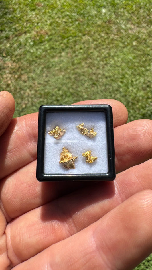Amazing 1.65 grams of NT gold nuggets