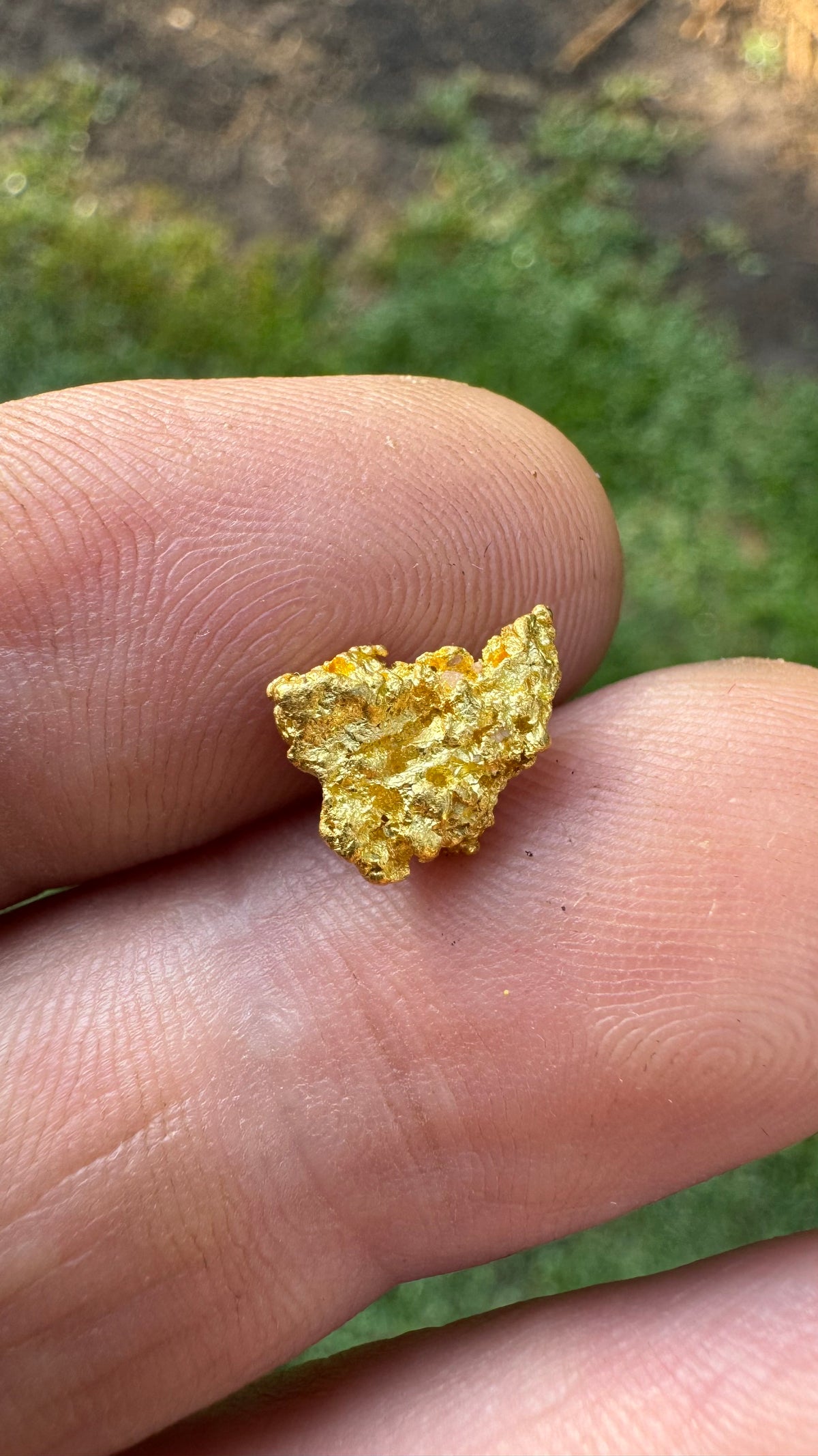 Beautiful Gold Nugget 1.85grams!