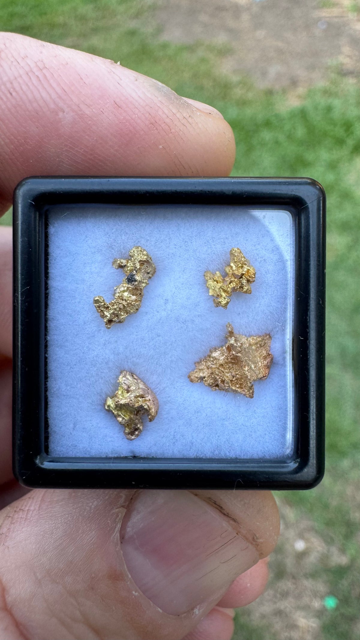 1.65 grams Pine Creek Gold Nuggets