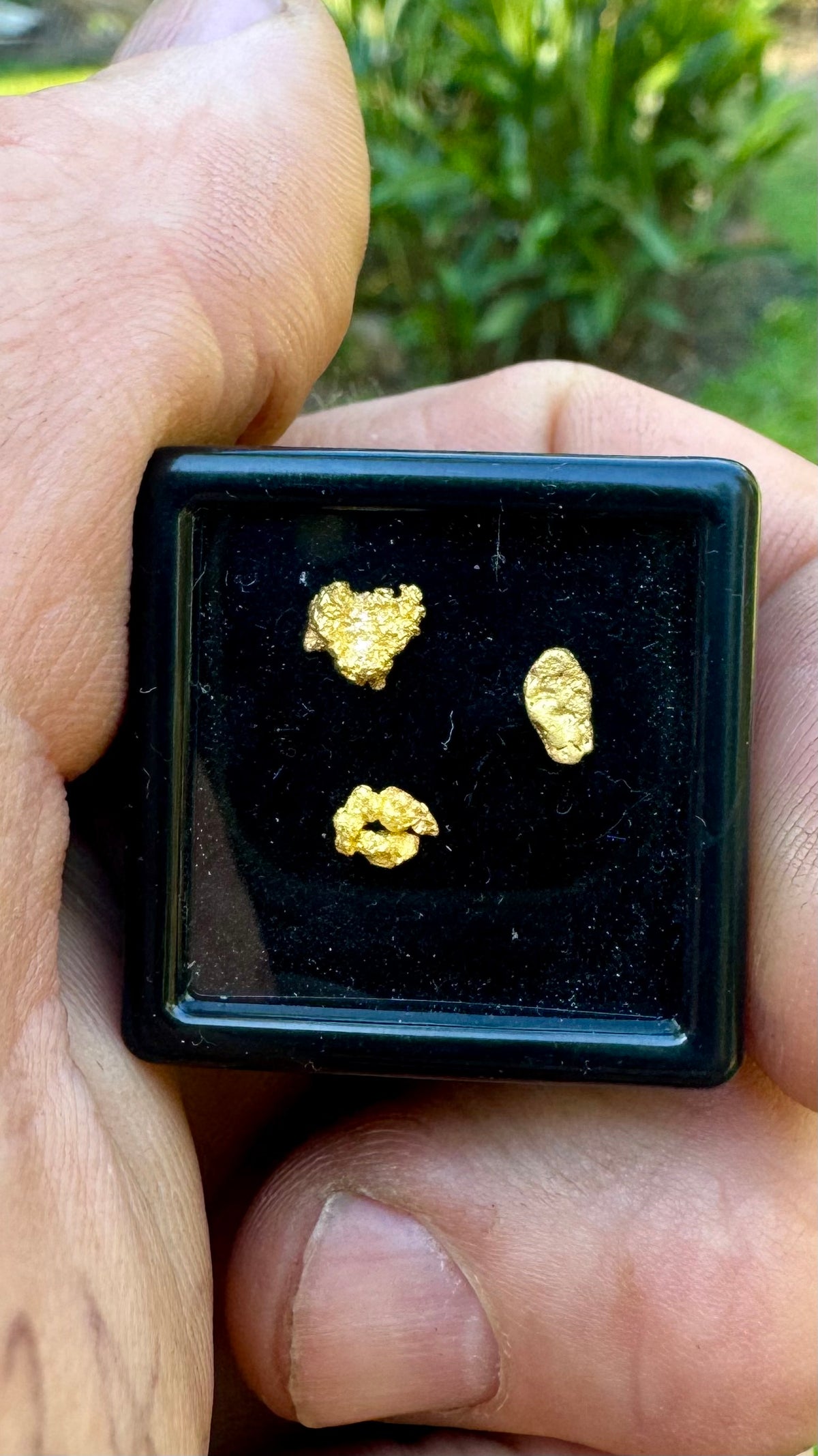 NT 0.67 gram Natural Gold Nuggets