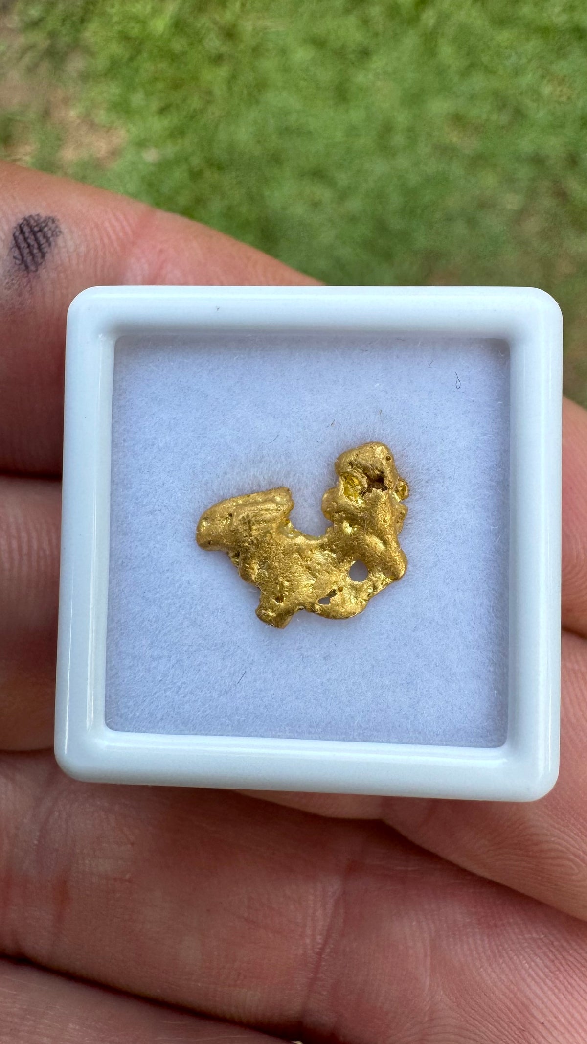 A Beautiful Butterfly Shaped Gold Nugget 1.80 grams
