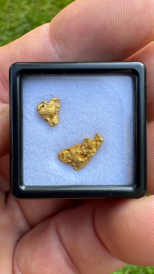 Stunning 1.24 gram Gold Nuggets