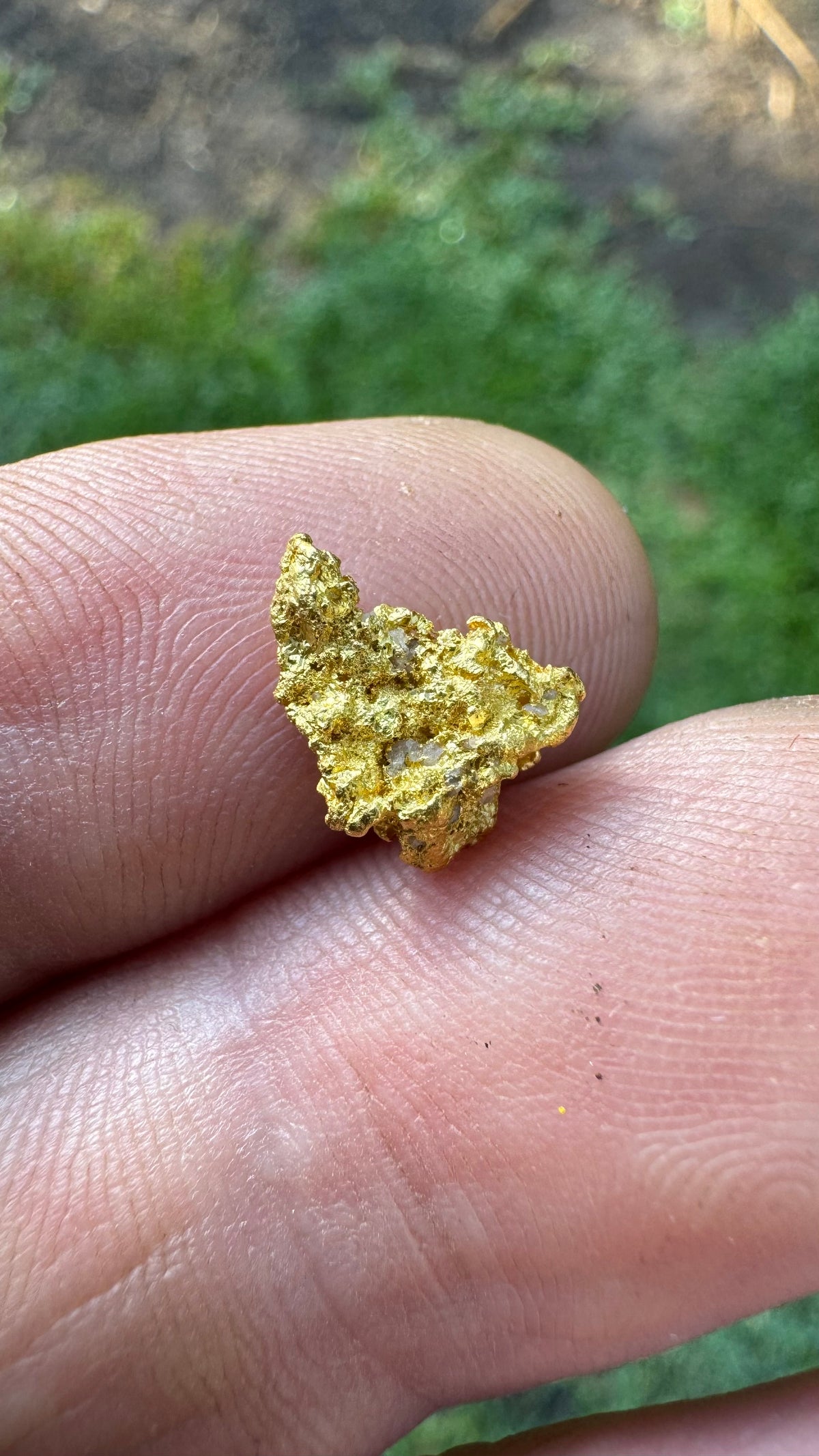 Beautiful Gold Nugget 1.85grams!