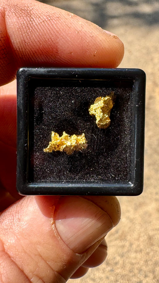 Pair of Gold Nuggets 1.25 grams