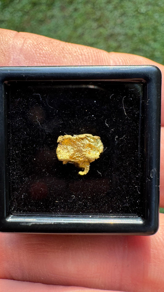 0.59 gram Northern Territory Gold Nugget