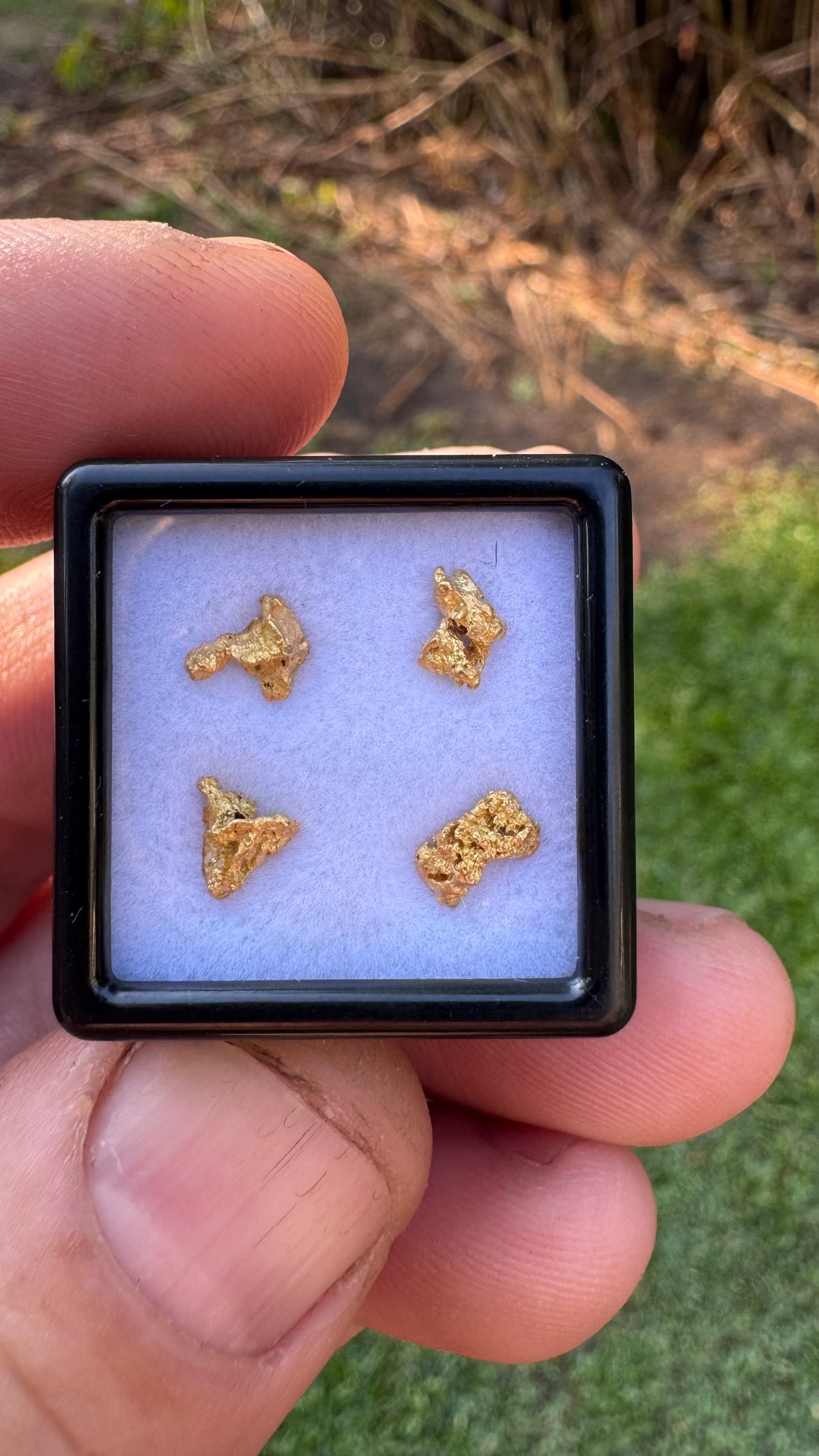 NT Gold Nugget 1.26 grams