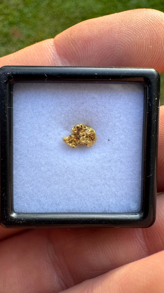 Natural NT 0.44 gram Gold Nuggets