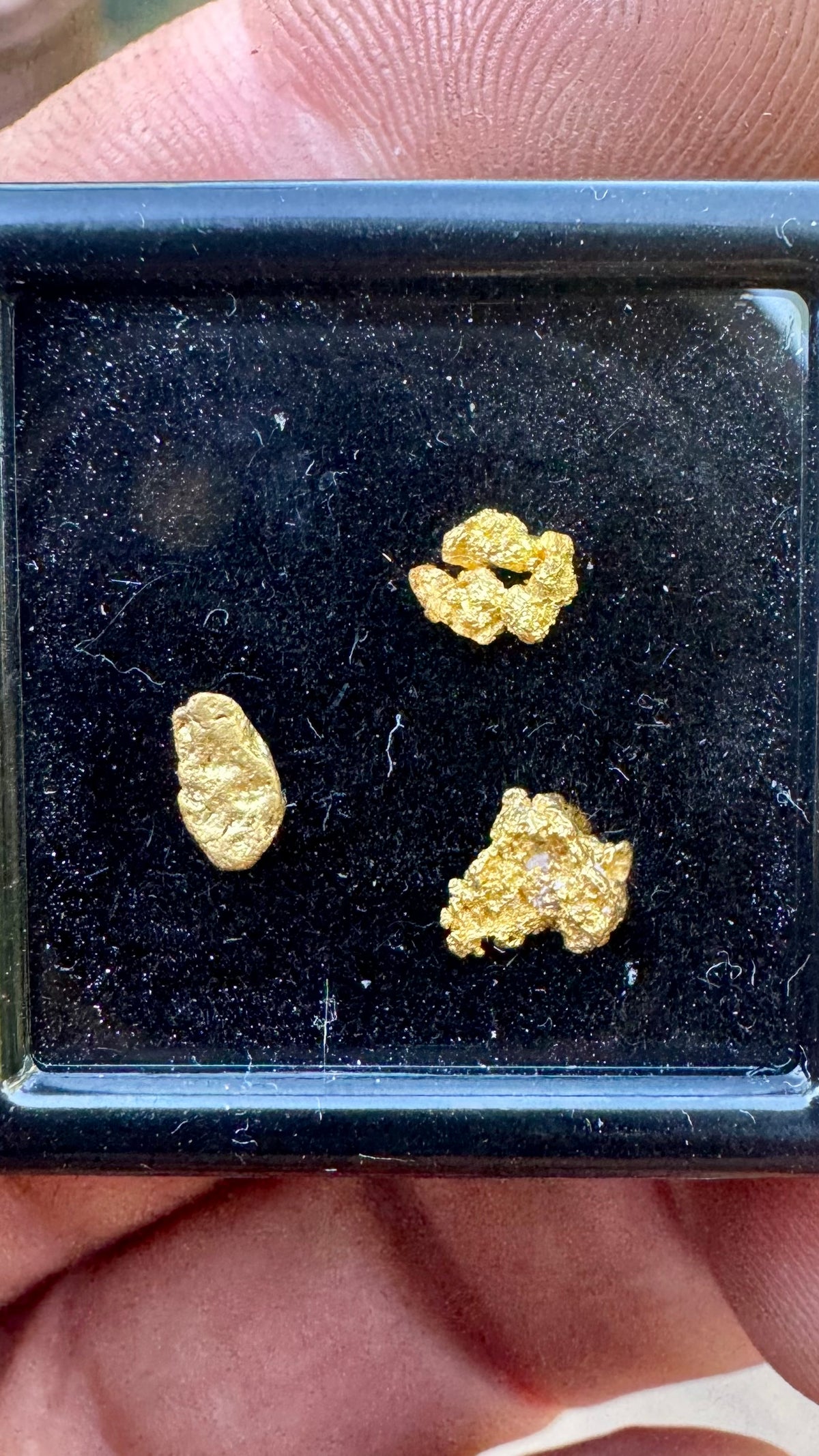 NT 0.67 gram Natural Gold Nuggets