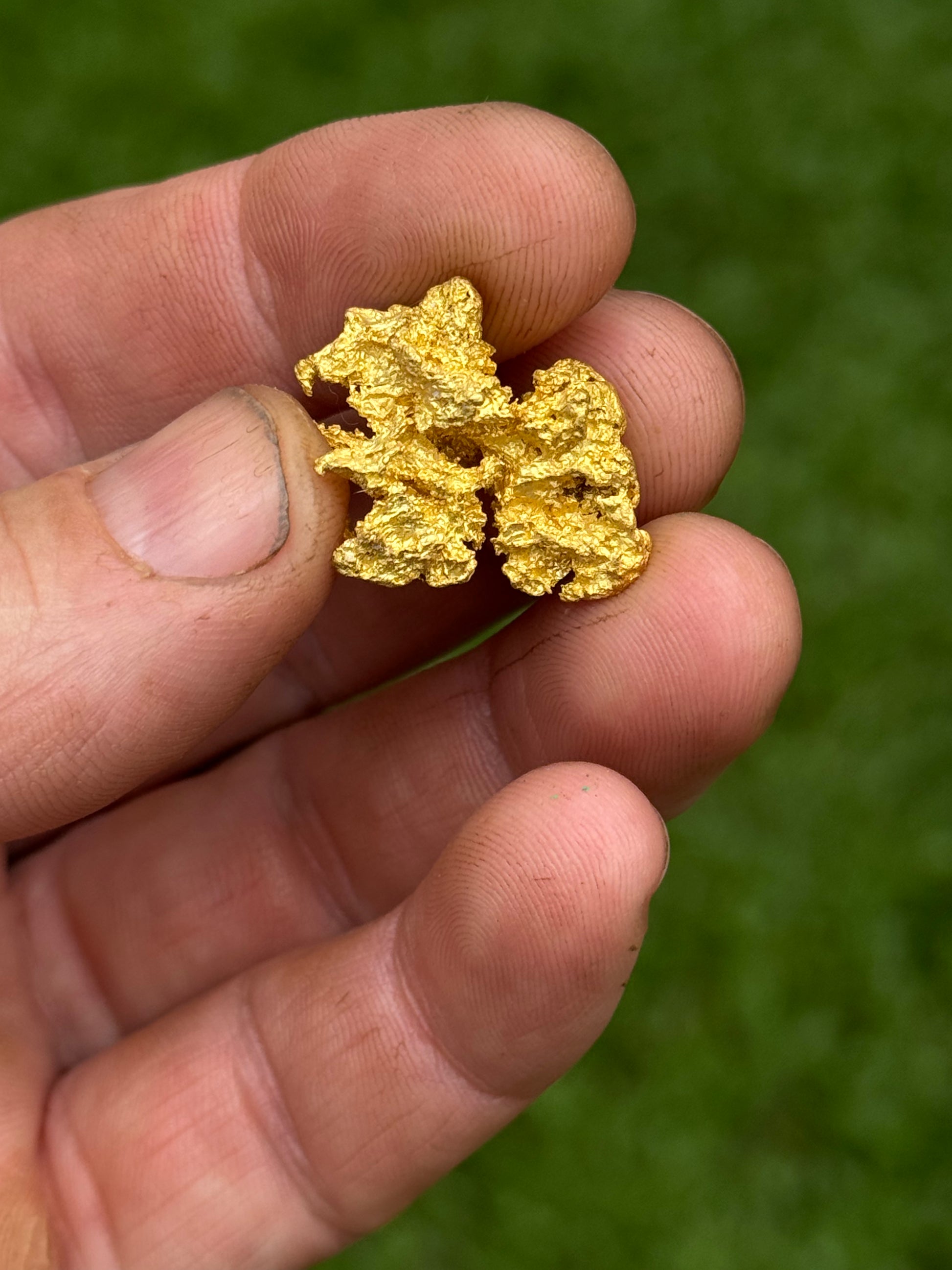 Hand holding a piece of gold against a green background