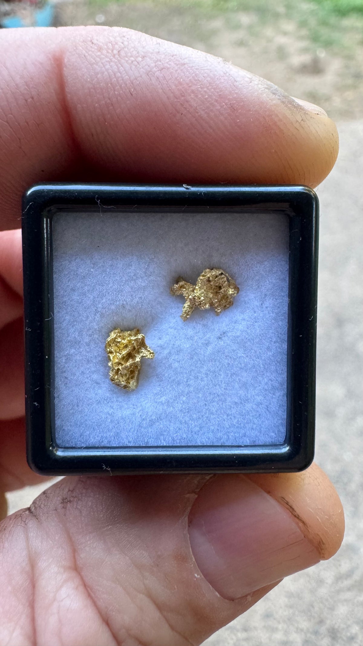 0.72 grams of Authentic Pine Creek Gold Nuggets
