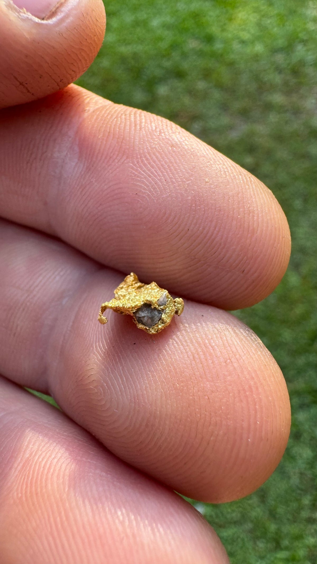 0.59 gram Northern Territory Gold Nugget