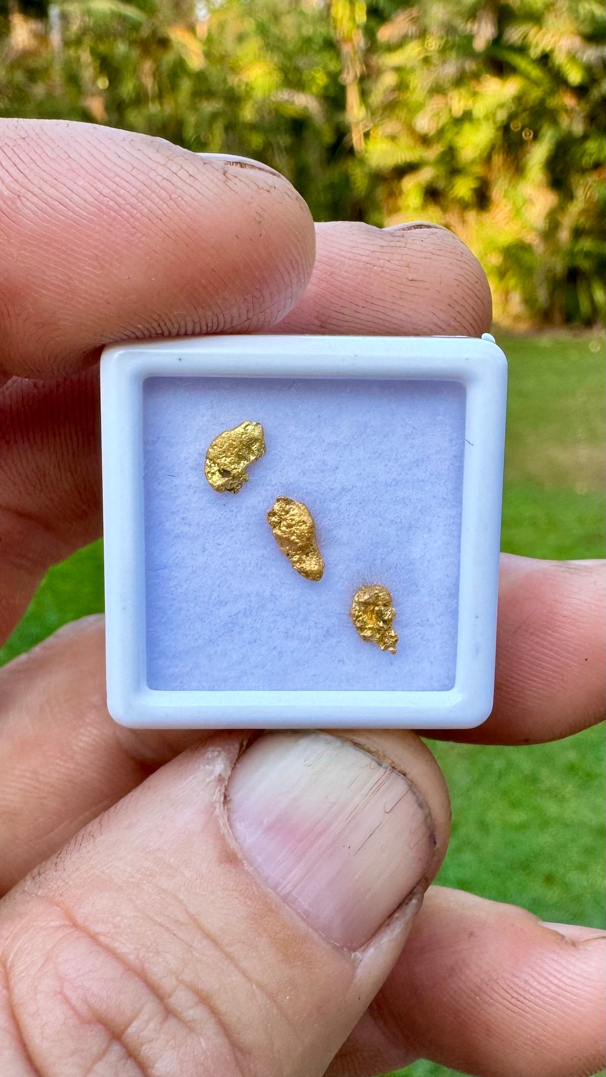 0.76 gram Northern Territory Gold Nugget