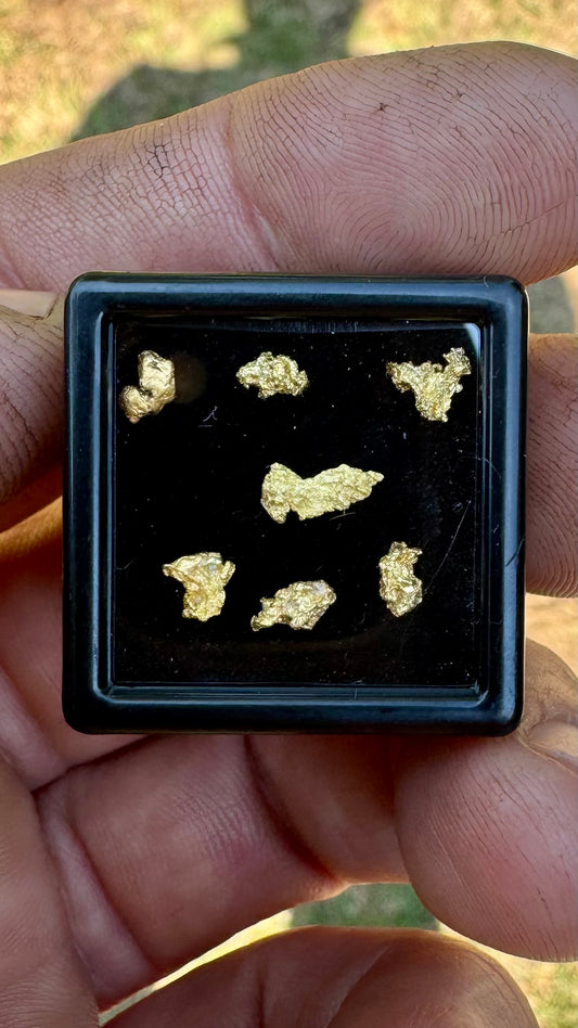 Seven Small but precious Gold Nuggets 1.09 grams total