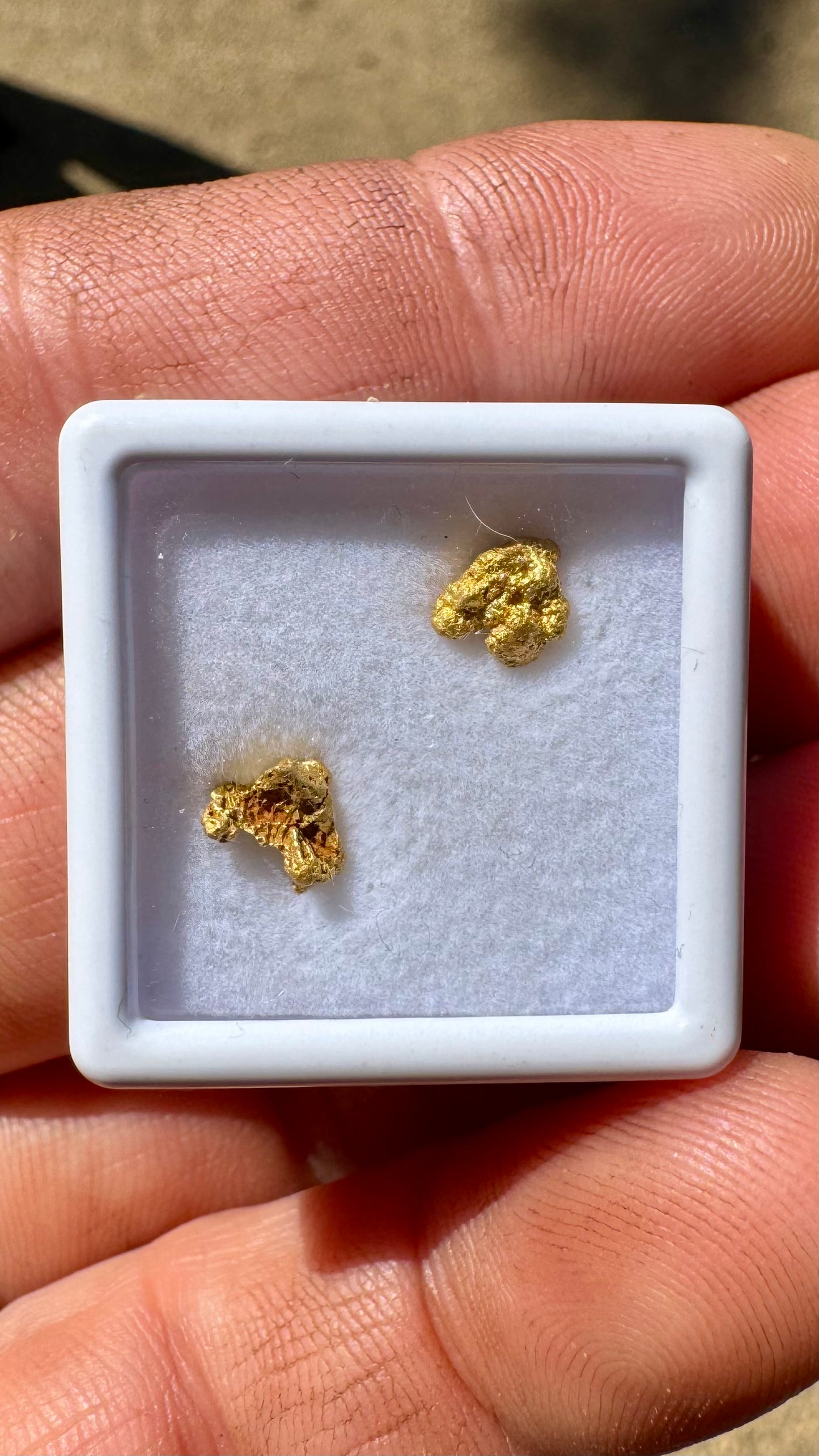 1.21 grams of Pine Creek Gold Nuggets