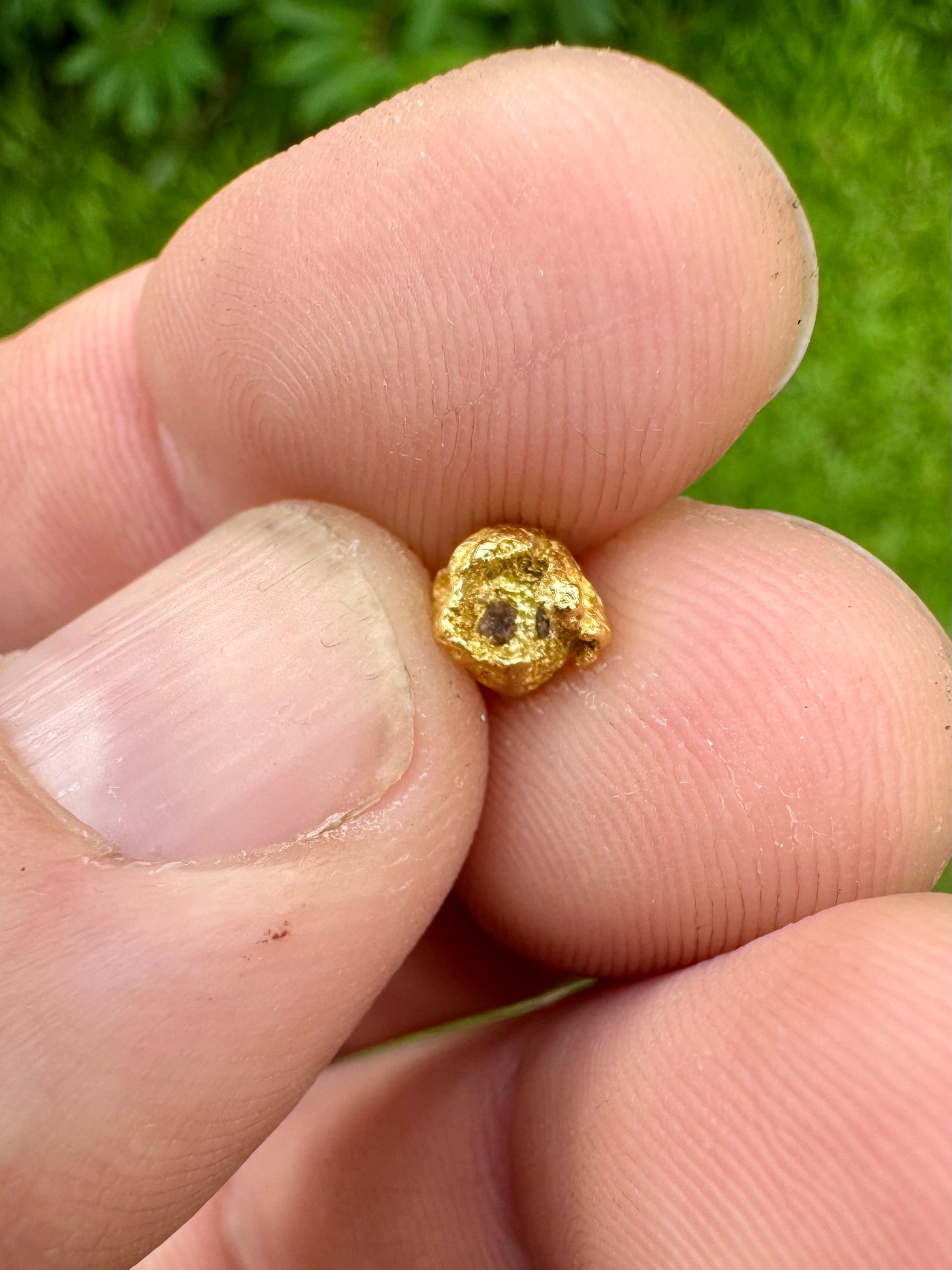 Beautiful Natural 0.97 gram Gold Nugget