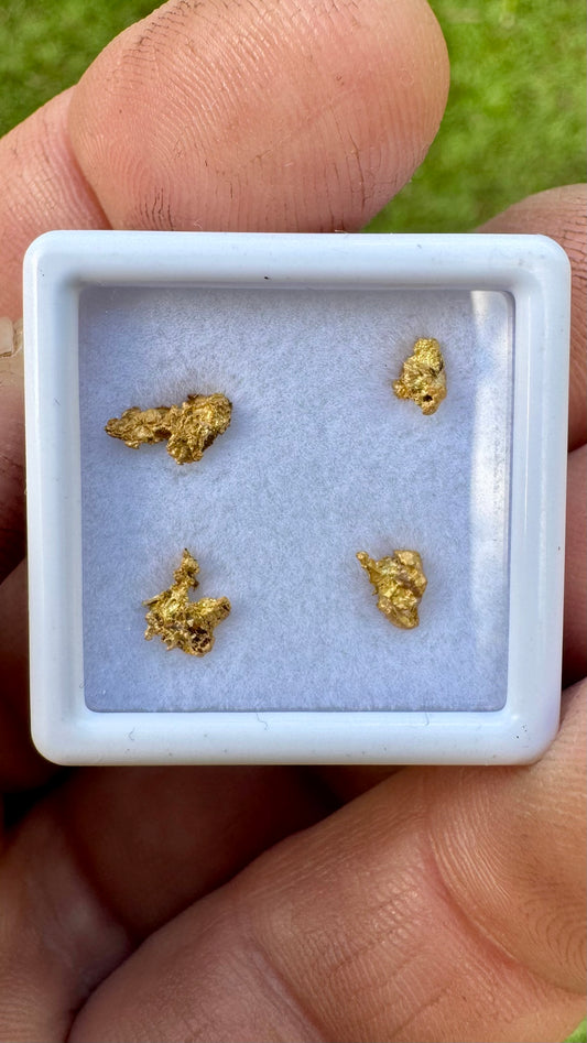 0.64 grams of NT gold nuggets