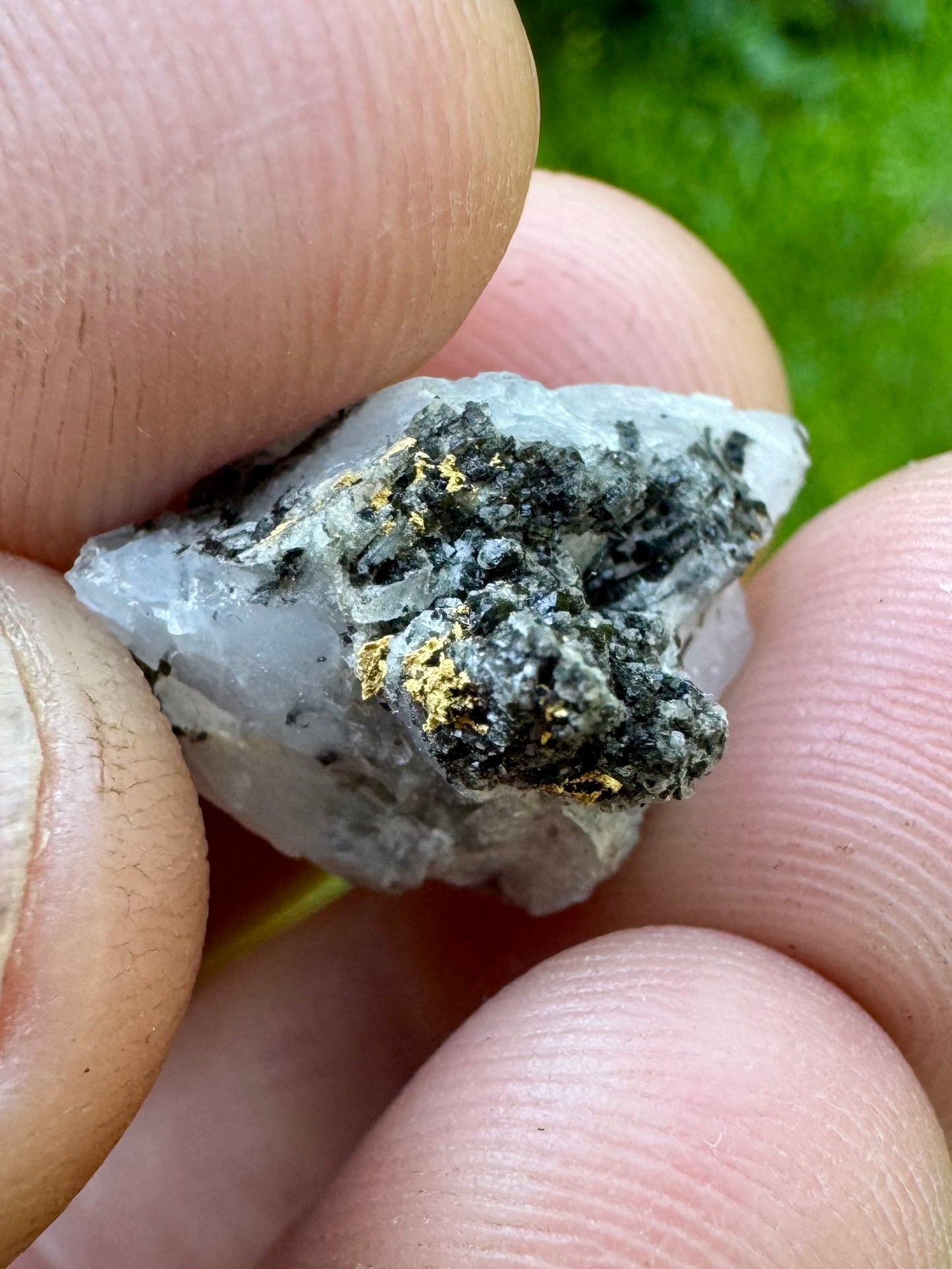 Unusual Collectors Gold Specimen