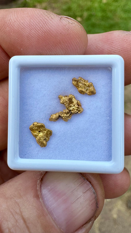 1.24 grams of Authentic Pine Creek Gold Nuggets