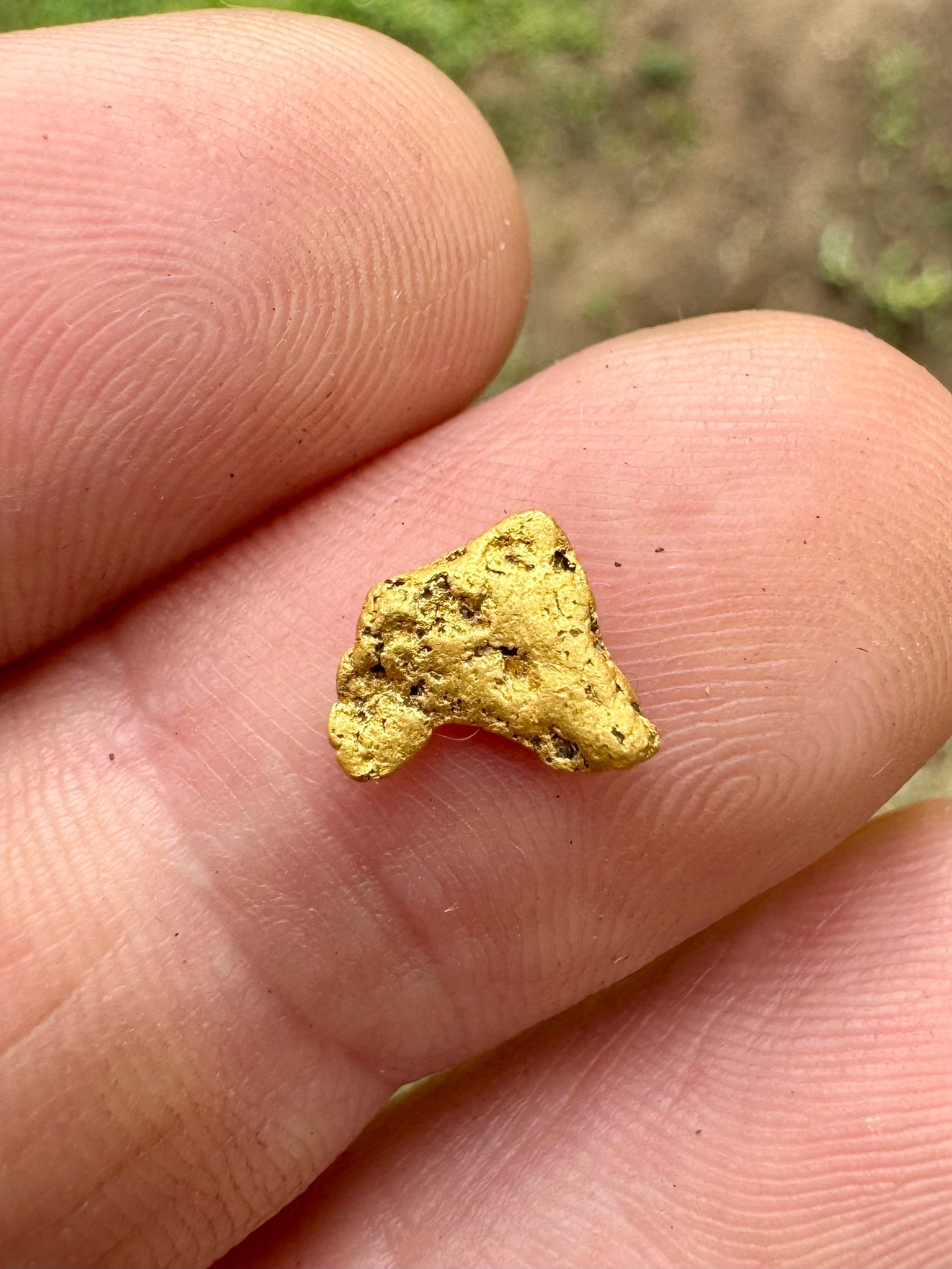 Buy 0.83 gram Australian Gold Nugget / Terra Ranger Gold