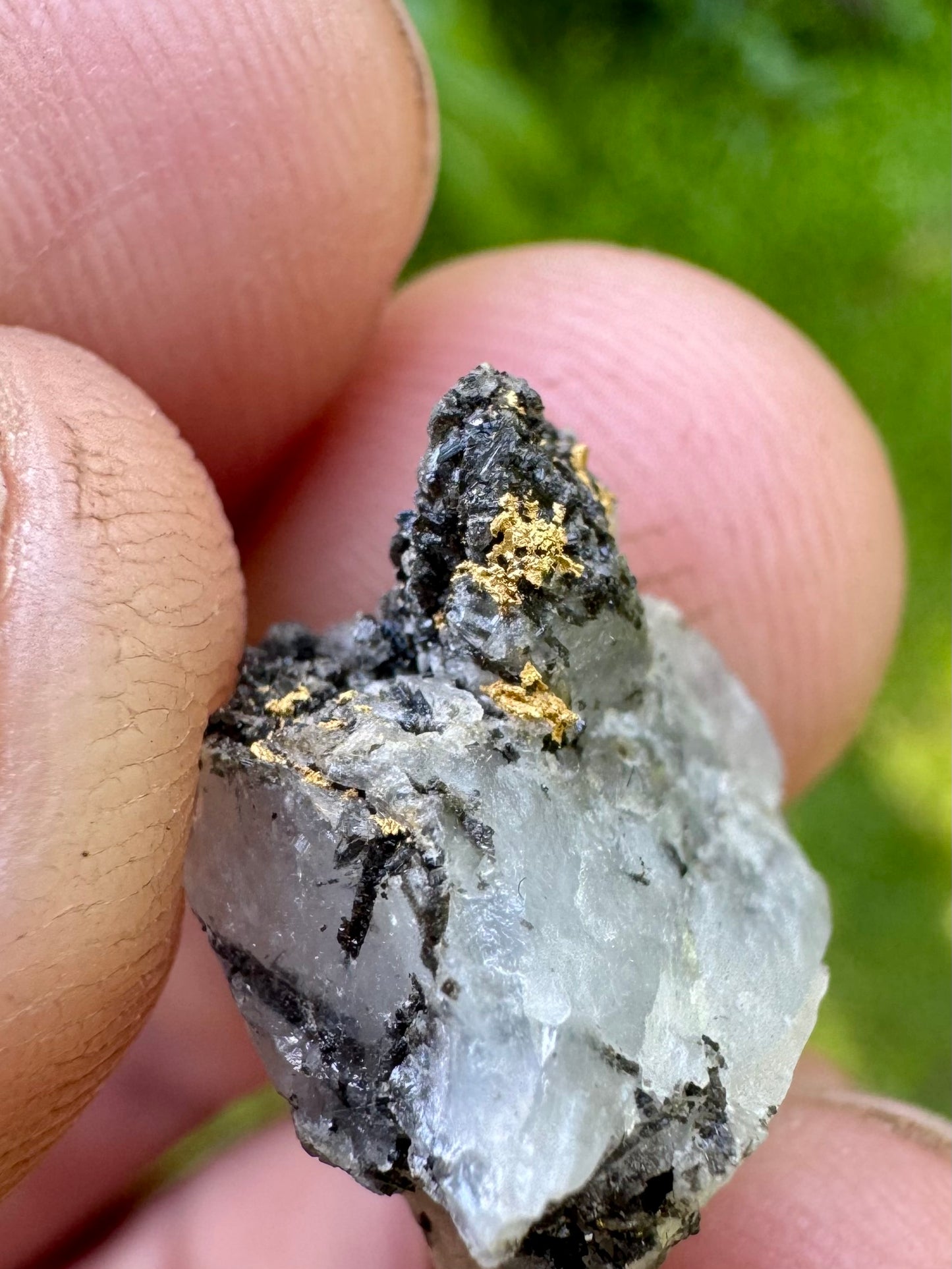 Unusual Collectors Gold Specimen