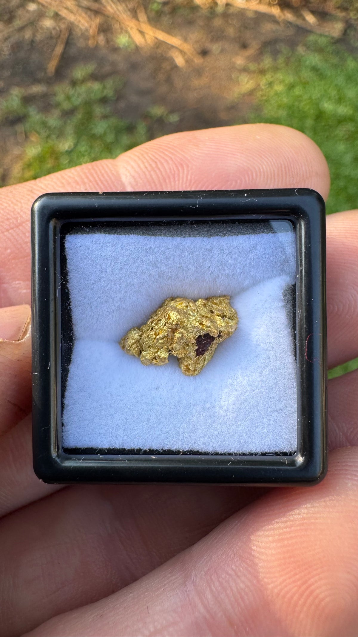 A Cracking Gold Nugget 3.05 grams
