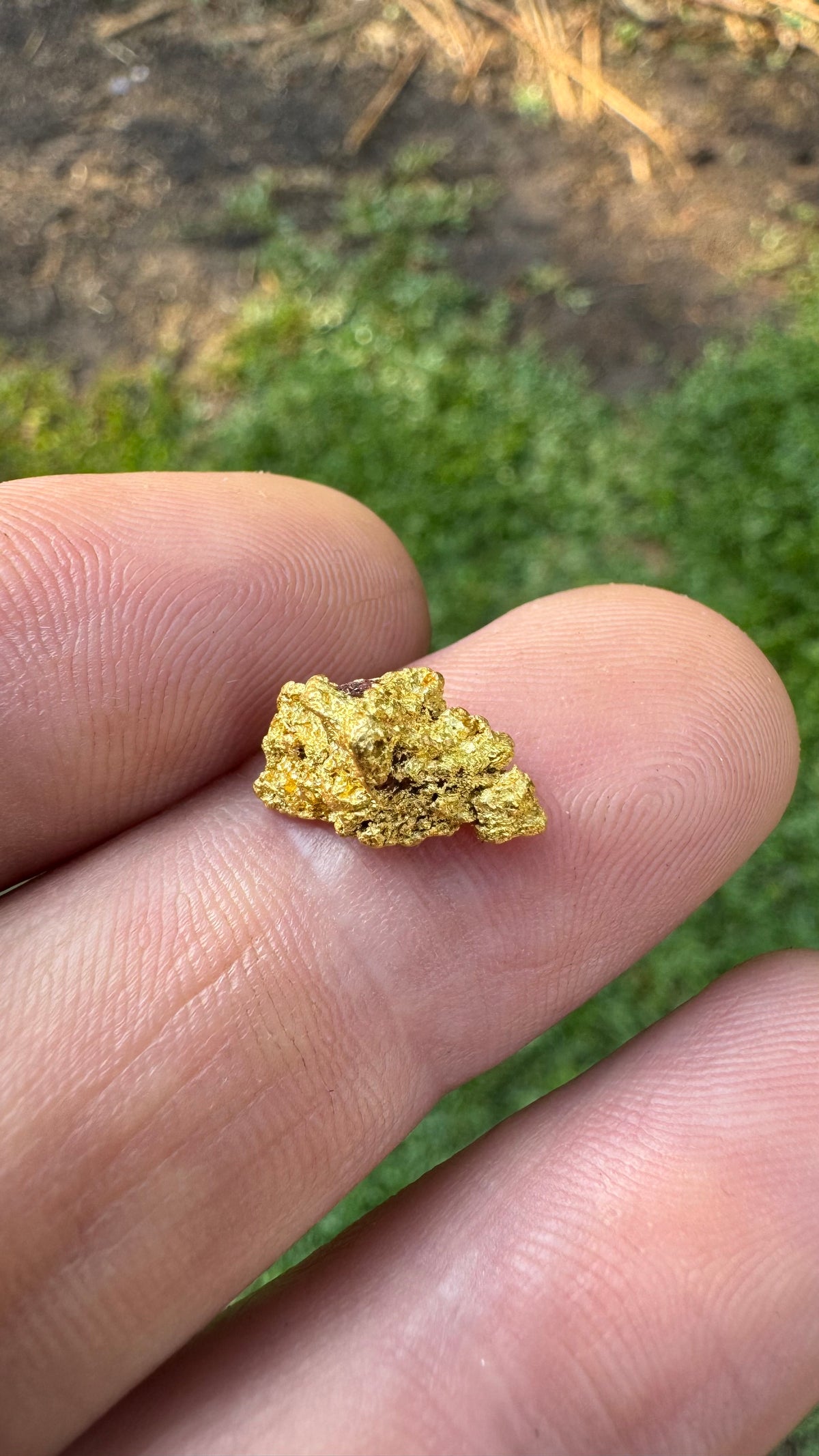 A Cracking Gold Nugget 3.05 grams