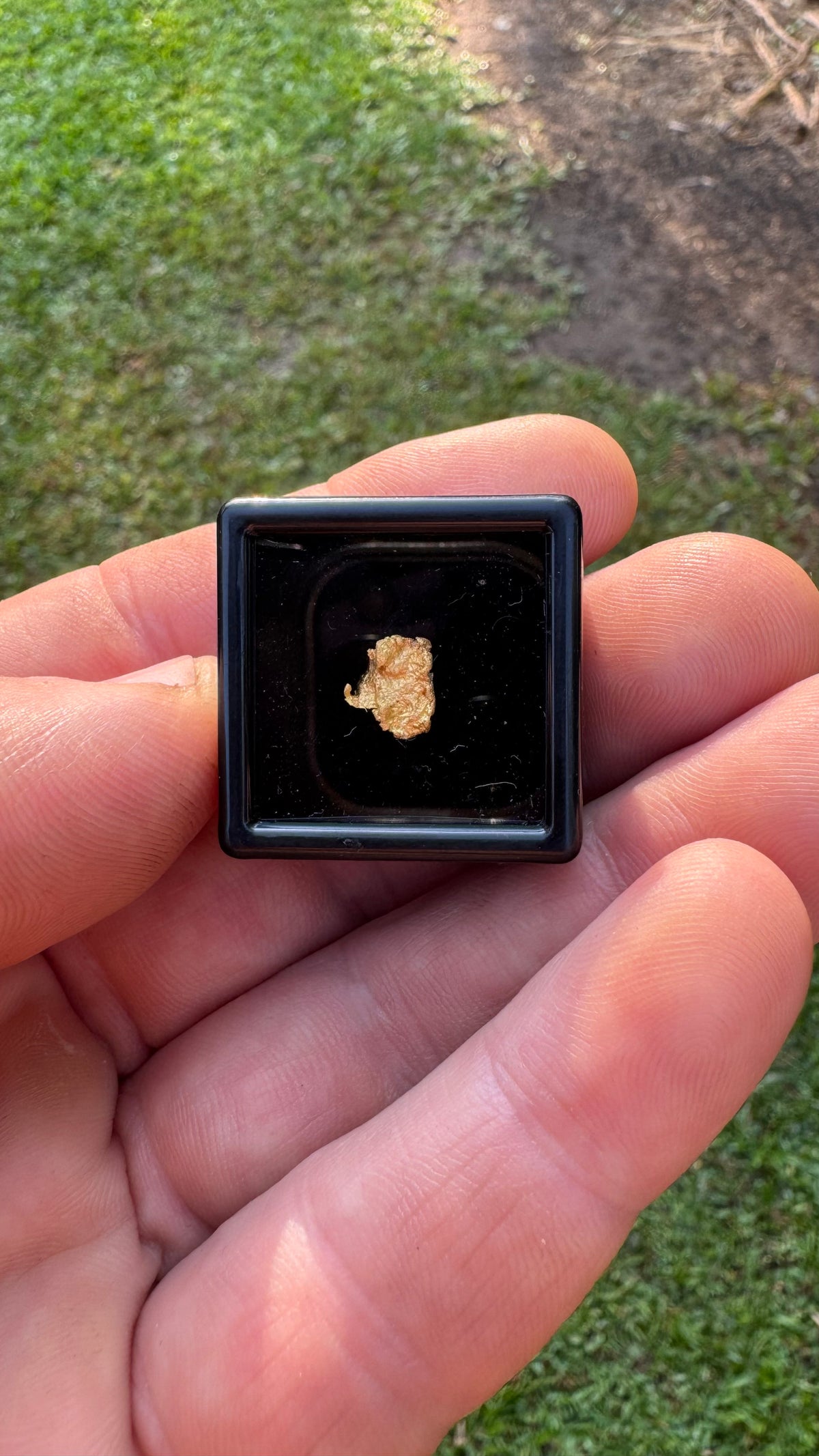 0.59 gram Northern Territory Gold Nugget