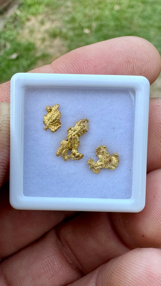 NT 1.16 gram Natural Gold Nuggets