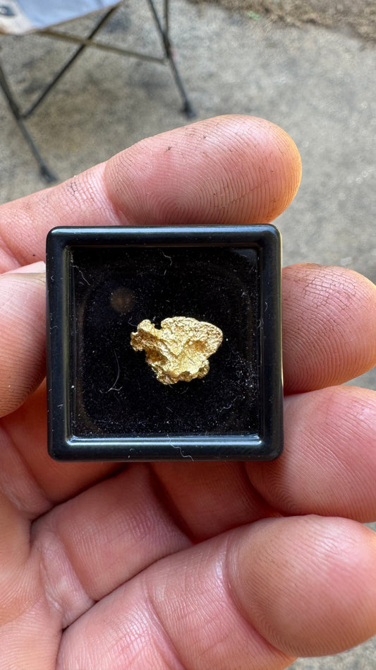 Special 1.92 gram Gold Nugget