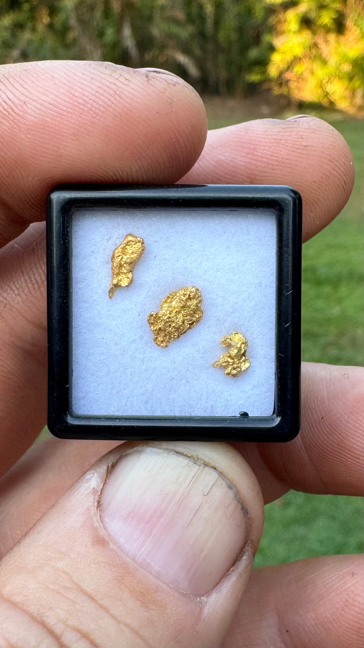 1.21 grams Pine Creek Gold Nuggets