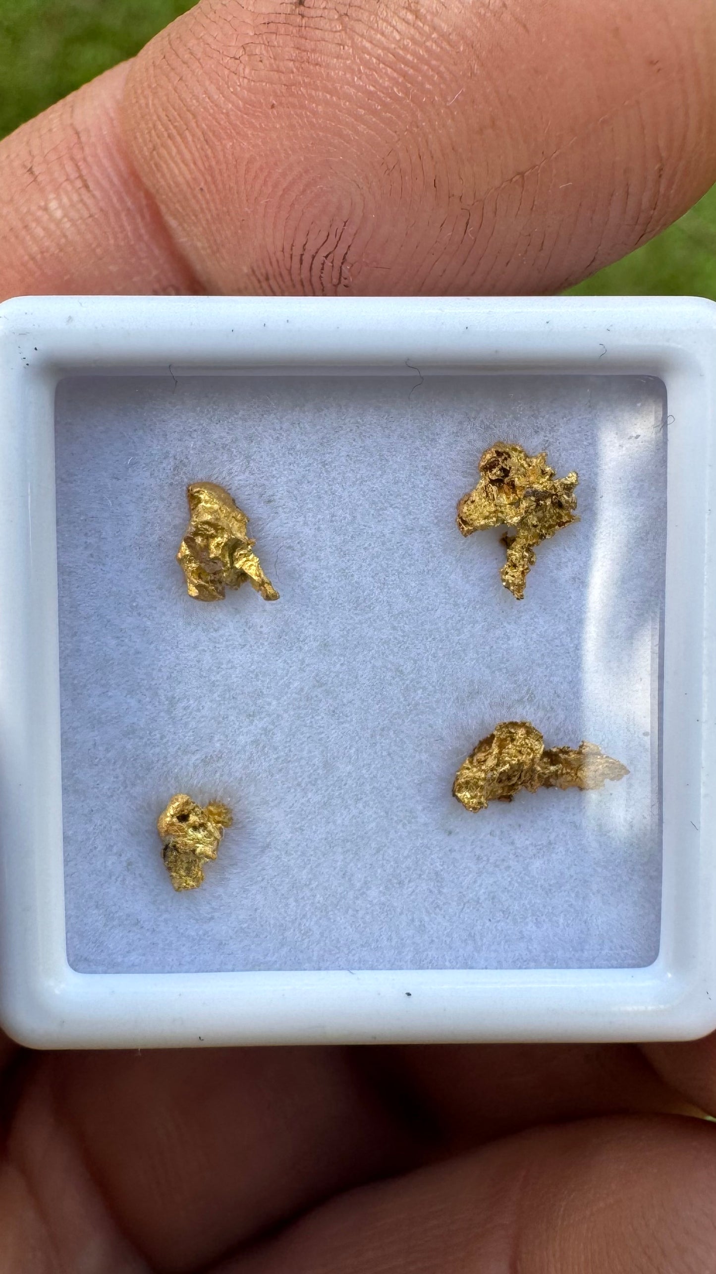 0.64 grams of NT gold nuggets