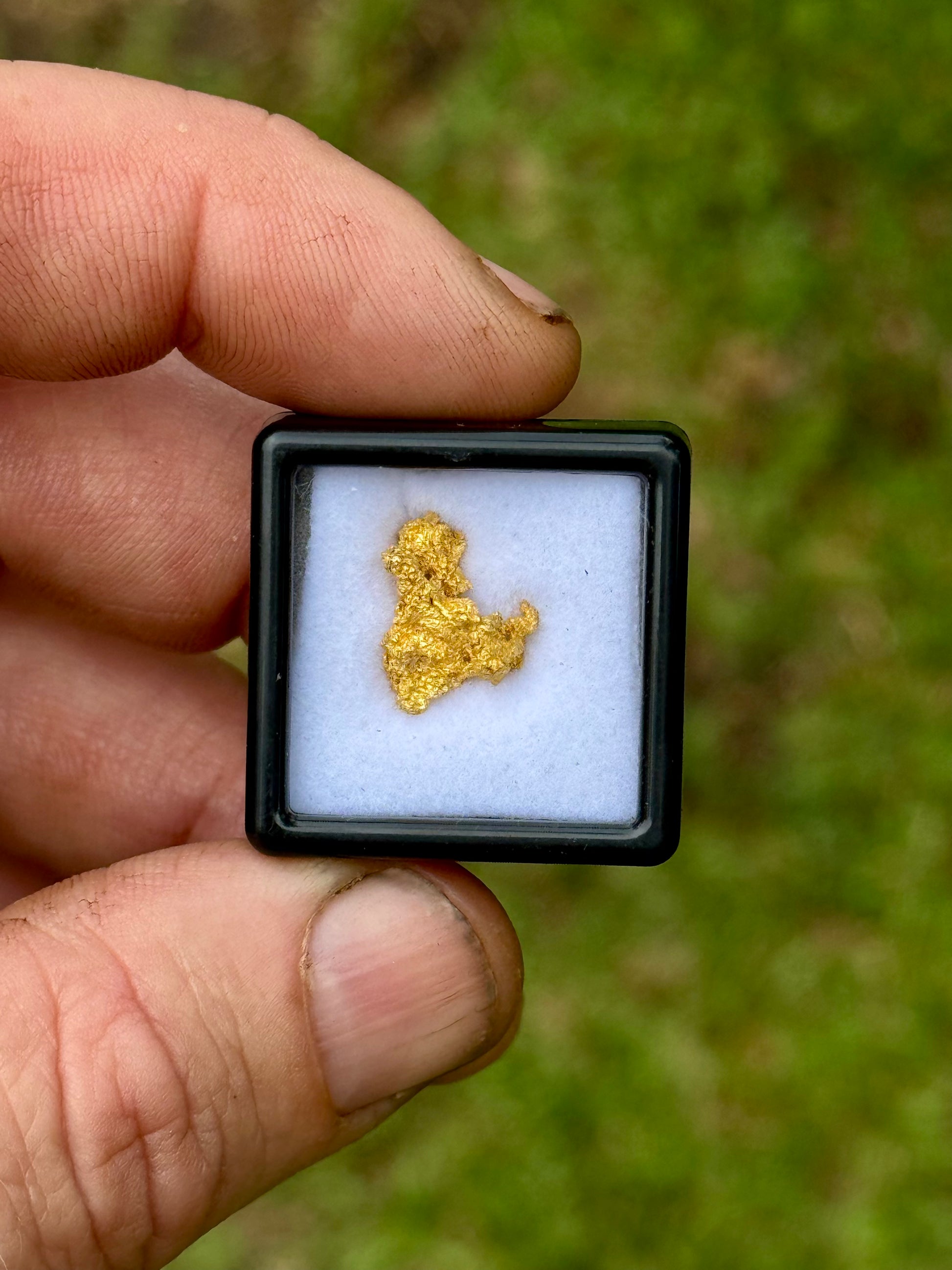 Gold nugget in a small black box held by a hand against a green background