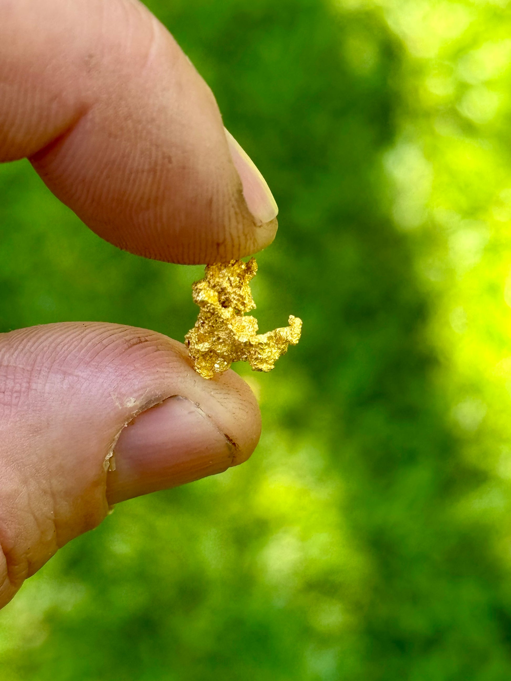 Hand holding a small gold nugget against a green blurred background