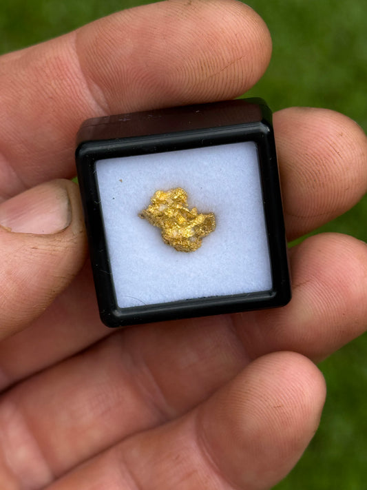 Amazing 1.51 gram natural gold nuggets