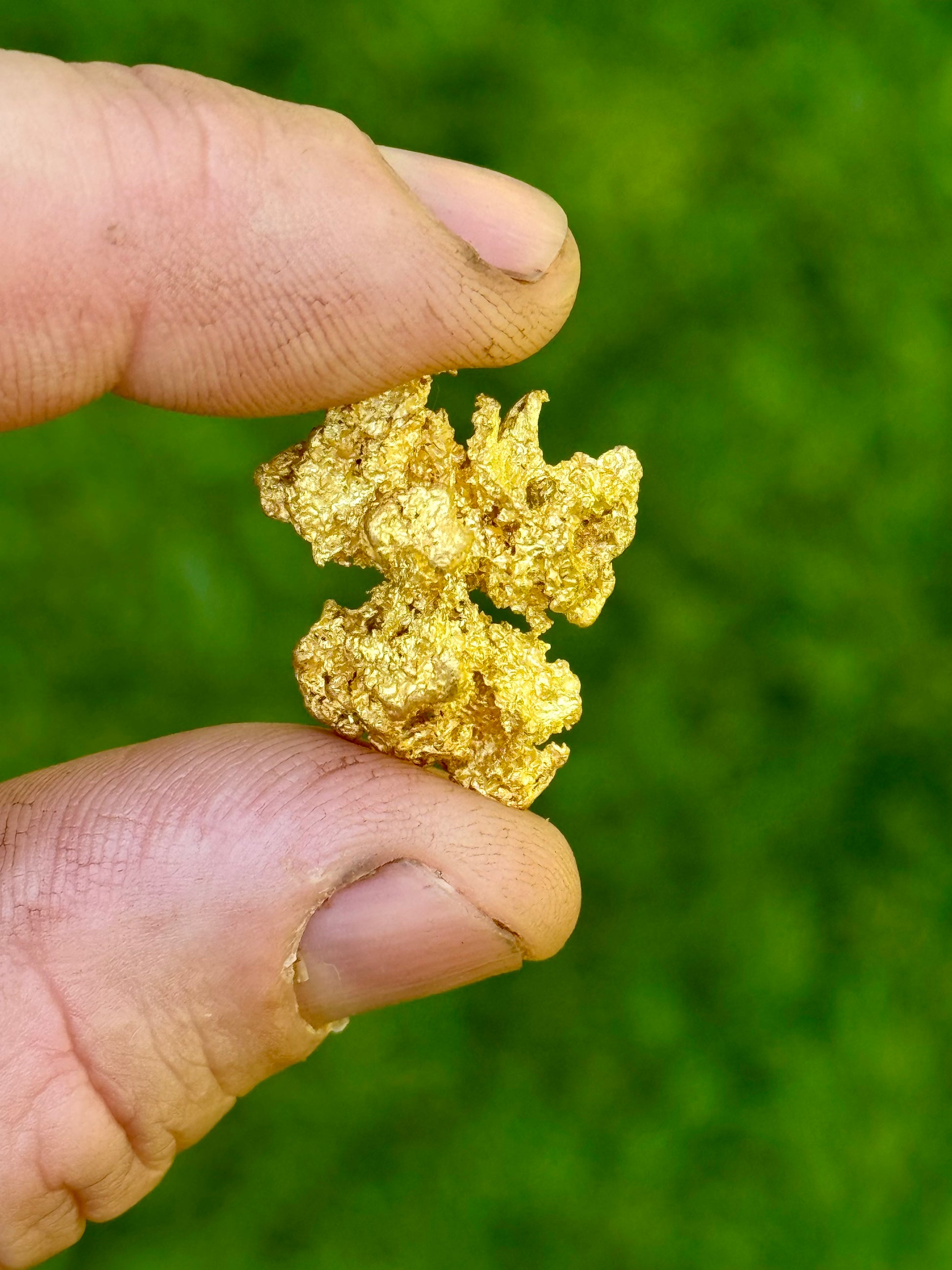 Hand holding a large gold nugget against a green background