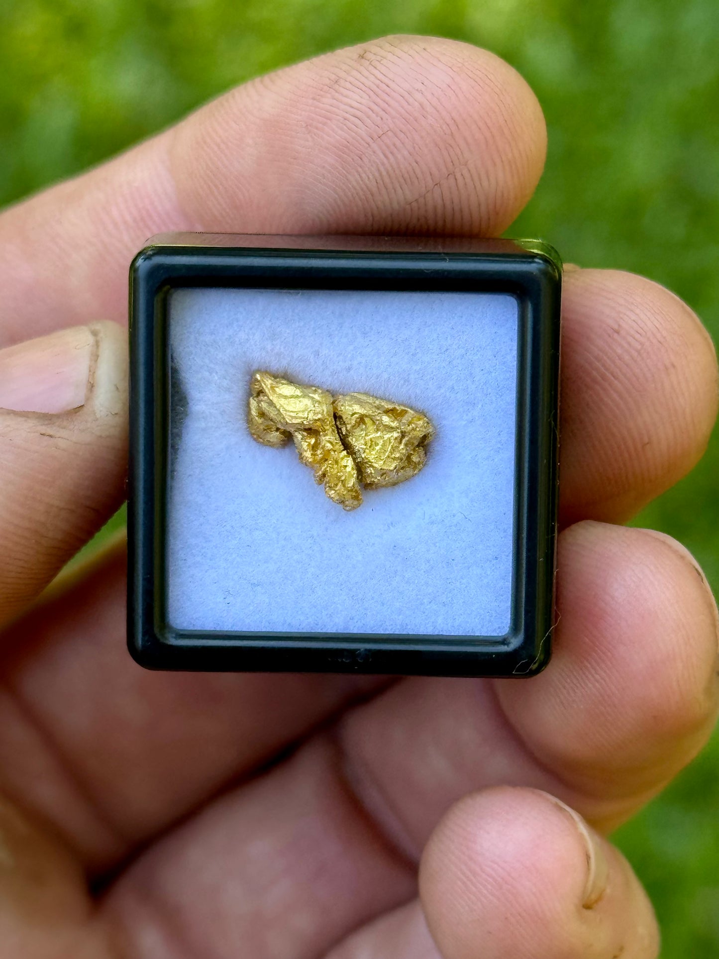 Gold nugget in a small display case held by a hand with a green blurred background