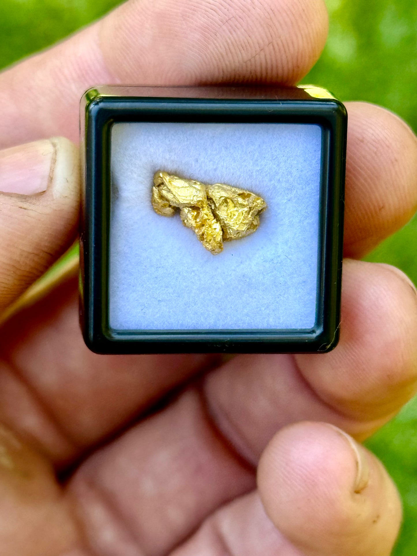 Gold nugget in a display case held by a hand with a green background