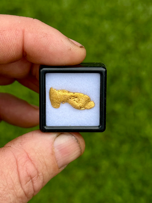 Gold artifact in a display case held by a hand against a green background